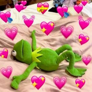 Meet your Posher, Payton